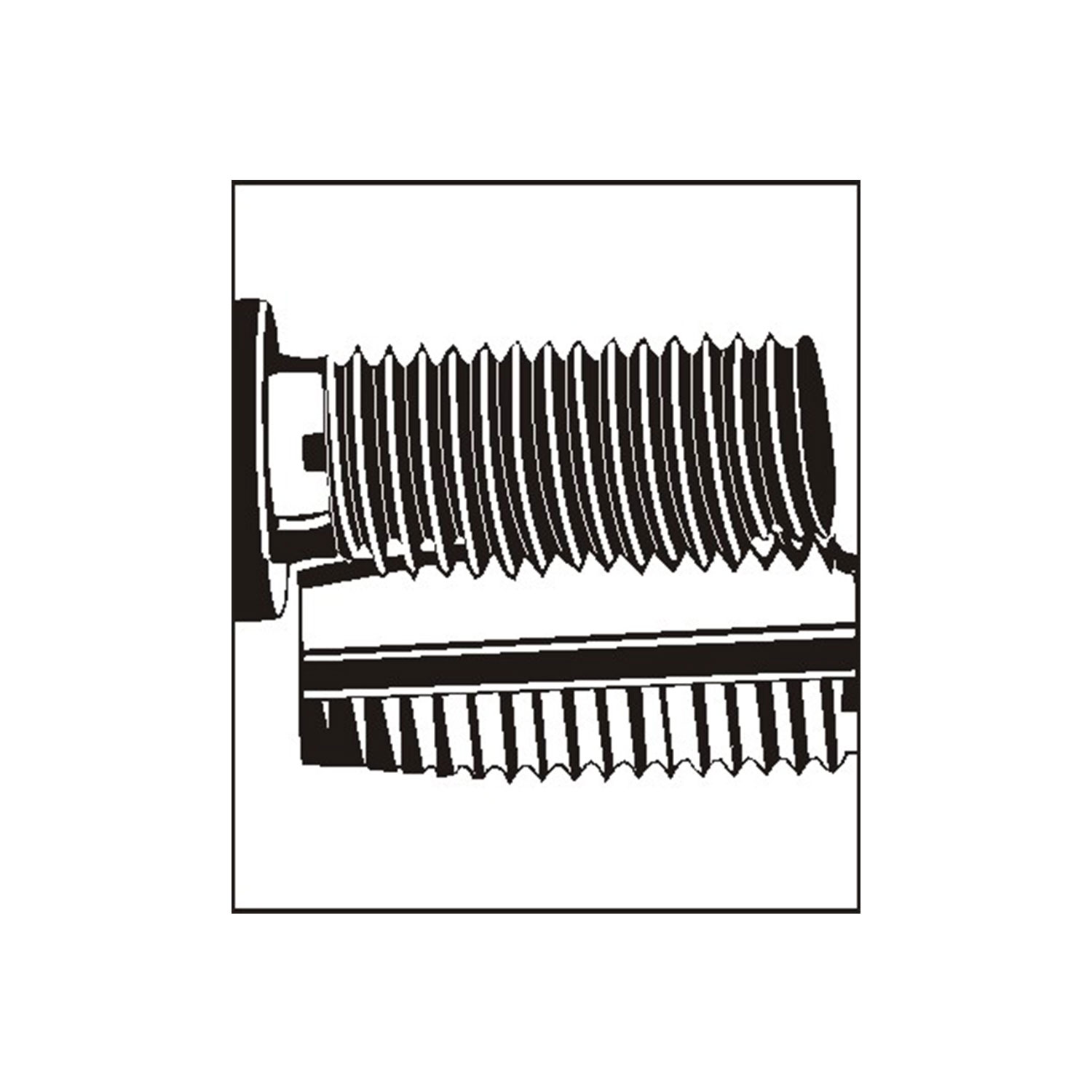 V-COIL Ren cấy V-COIL kiểu tự do S M 2.2 x 0.45 - 1.0 D (100 pcs.) thumbnail 3